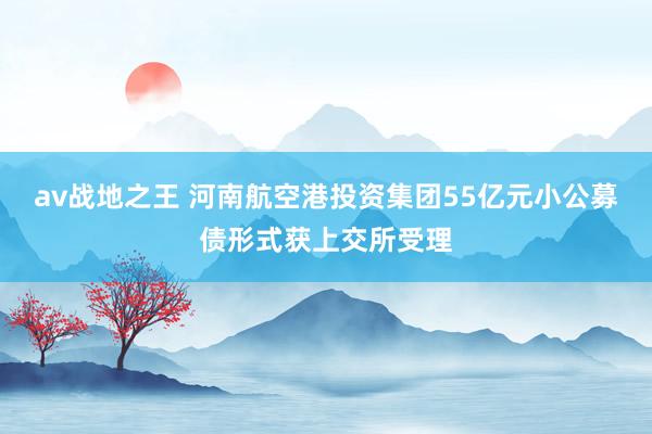 av战地之王 河南航空港投资集团55亿元小公募债形式获上交所受理