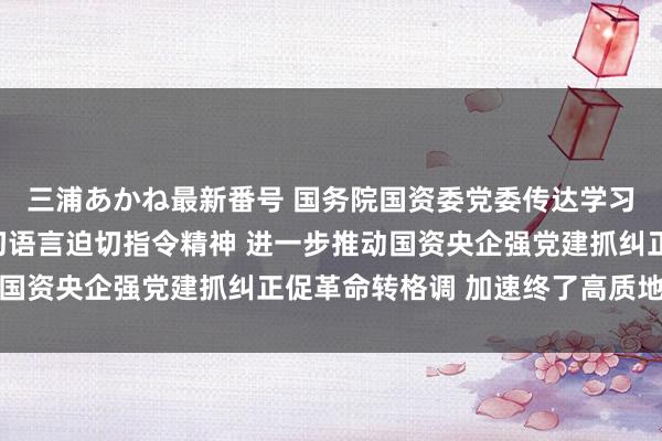 三浦あかね最新番号 国务院国资委党委传达学习习近平总文牍近期迫切语言迫切指令精神 进一步推动国资央企强党建抓纠正促革命转格调 加速终了高质地发展