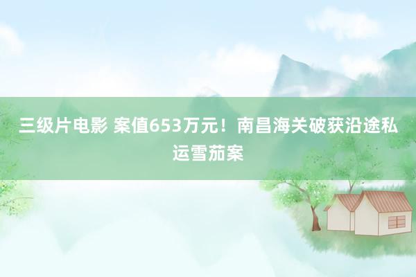 三级片电影 案值653万元！南昌海关破获沿途私运雪茄案