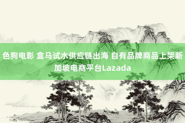 色狗电影 盒马试水供应链出海 自有品牌商品上架新加坡电商平台Lazada