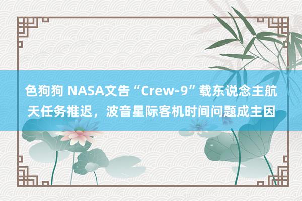 色狗狗 NASA文告“Crew-9”载东说念主航天任务推迟，波音星际客机时间问题成主因