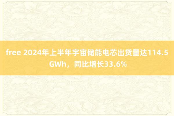 free 2024年上半年宇宙储能电芯出货量达114.5 GWh，同比增长33.6%