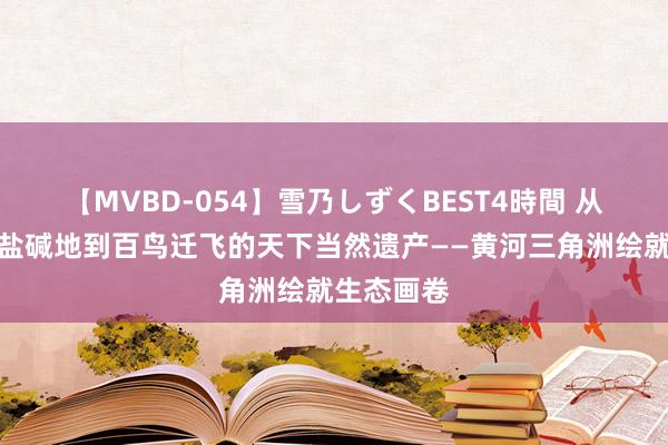 【MVBD-054】雪乃しずくBEST4時間 从白花花的盐碱地到百鸟迁飞的天下当然遗产——黄河三角洲绘就生态画卷