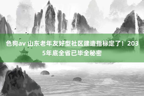 色狗av 山东老年友好型社区建造指标定了！2035年底全省已毕全秘密