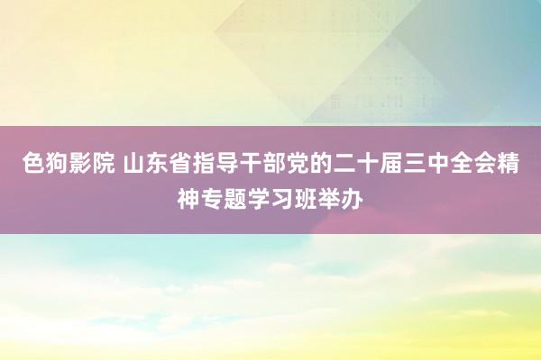 色狗影院 山东省指导干部党的二十届三中全会精神专题学习班举办