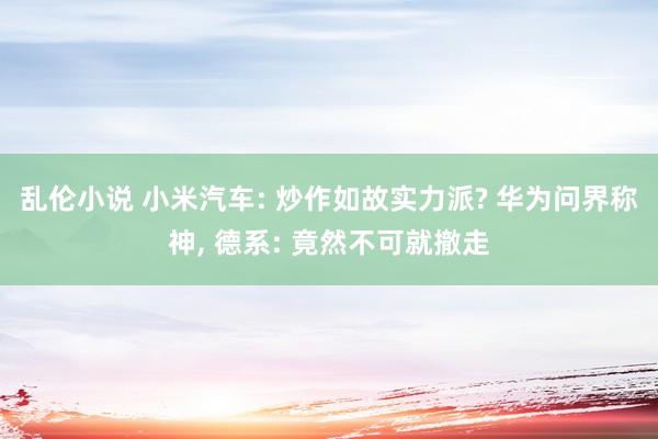 乱伦小说 小米汽车: 炒作如故实力派? 华为问界称神, 德系: 竟然不可就撤走