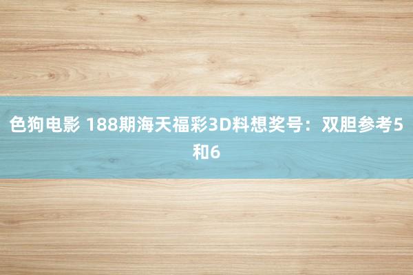 色狗电影 188期海天福彩3D料想奖号：双胆参考5和6