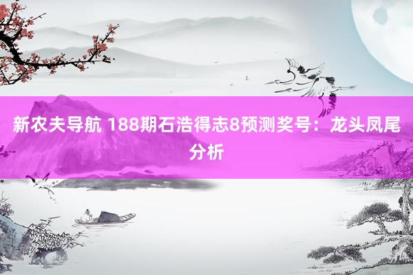 新农夫导航 188期石浩得志8预测奖号：龙头凤尾分析