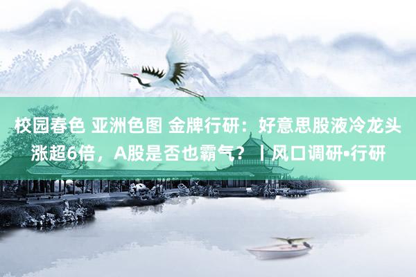 校园春色 亚洲色图 金牌行研：好意思股液冷龙头涨超6倍，A股是否也霸气？丨风口调研•行研