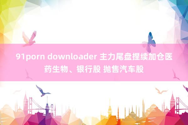 91porn downloader 主力尾盘捏续加仓医药生物、银行股 抛售汽车股