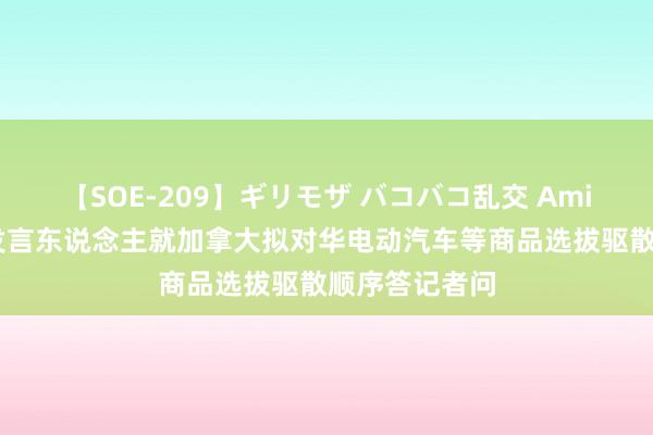 【SOE-209】ギリモザ バコバコ乱交 Ami 商务部新闻发言东说念主就加拿大拟对华电动汽车等商品选拔驱散顺序答记者问