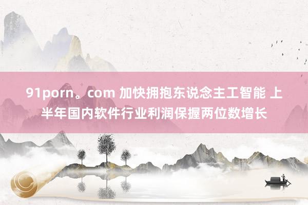 91porn。com 加快拥抱东说念主工智能 上半年国内软件行业利润保握两位数增长