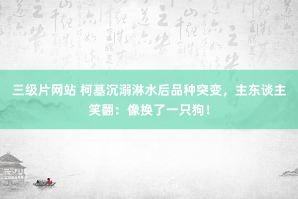 三级片网站 柯基沉溺淋水后品种突变，主东谈主笑翻：像换了一只狗！