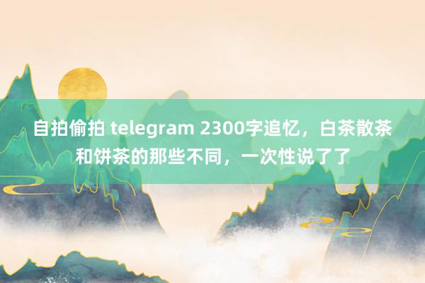 自拍偷拍 telegram 2300字追忆，白茶散茶和饼茶的那些不同，一次性说了了