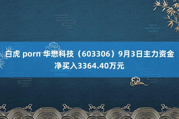 白虎 porn 华懋科技（603306）9月3日主力资金净买入3364.40万元