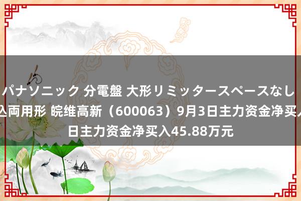 パナソニック 分電盤 大形リミッタースペースなし 露出・半埋込両用形 皖维高新（600063）9月3日主力资金净买入45.88万元