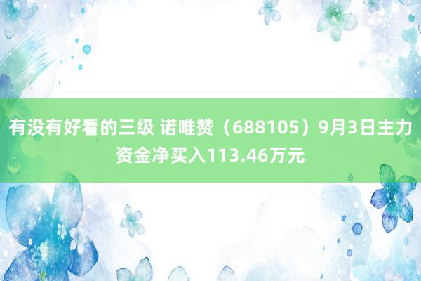 有没有好看的三级 诺唯赞（688105）9月3日主力资金净买入113.46万元