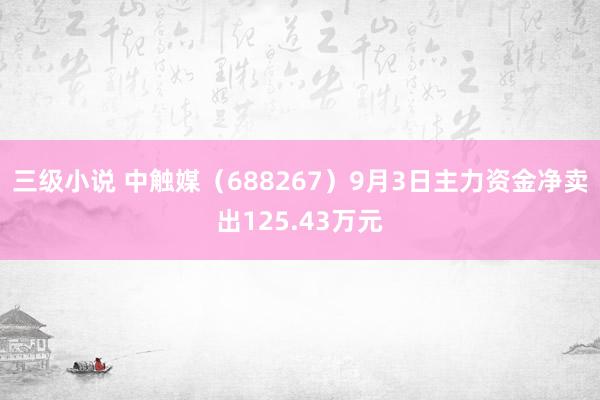 三级小说 中触媒（688267）9月3日主力资金净卖出125.43万元