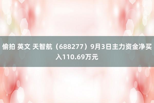 偷拍 英文 天智航（688277）9月3日主力资金净买入110.69万元