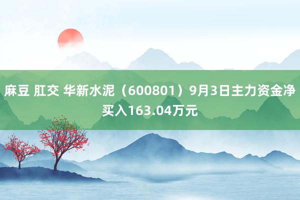 麻豆 肛交 华新水泥（600801）9月3日主力资金净买入163.04万元