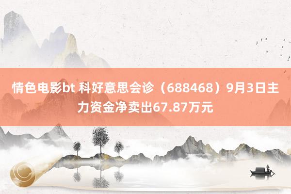 情色电影bt 科好意思会诊（688468）9月3日主力资金净卖出67.87万元