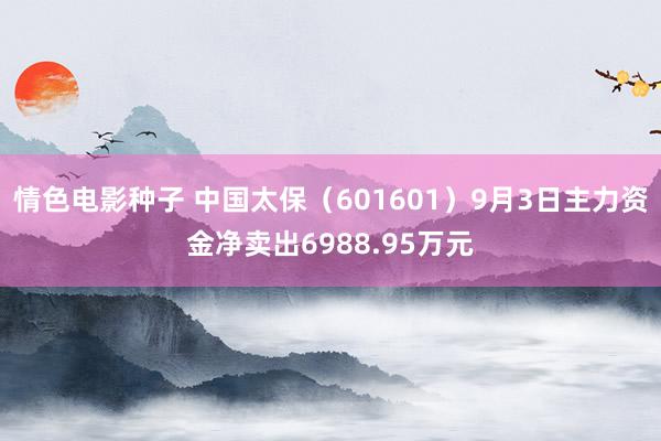 情色电影种子 中国太保（601601）9月3日主力资金净卖出6988.95万元