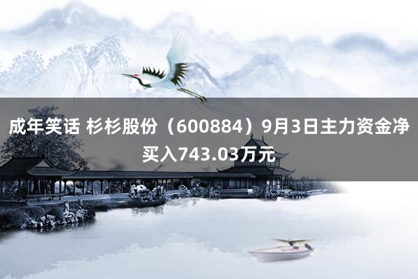 成年笑话 杉杉股份（600884）9月3日主力资金净买入743.03万元