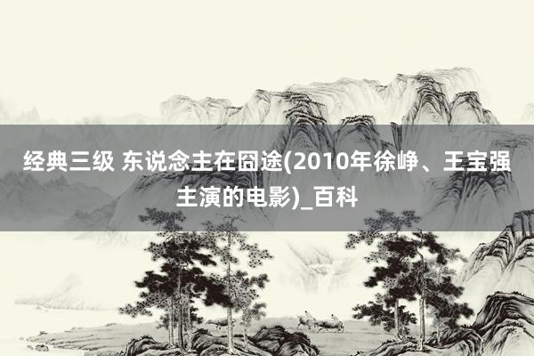 经典三级 东说念主在囧途(2010年徐峥、王宝强主演的电影)_百科