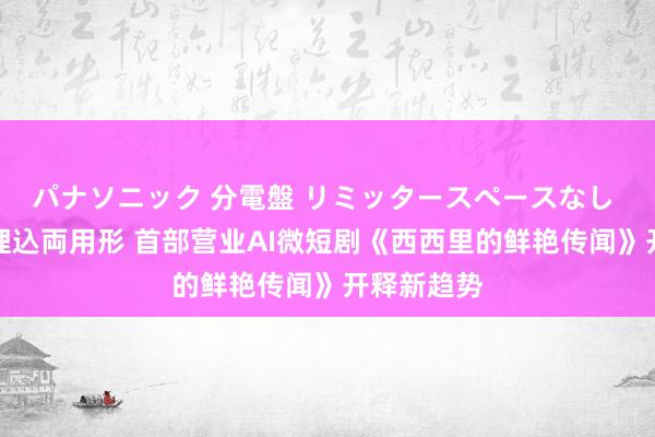 パナソニック 分電盤 リミッタースペースなし 露出・半埋込両用形 首部营业AI微短剧《西西里的鲜艳传闻》开释新趋势