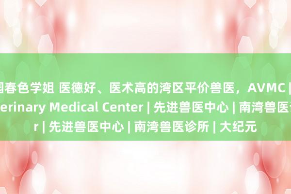 校园春色学姐 医德好、医术高的湾区平价兽医，AVMC | Advanced Veterinary Medical Center | 先进兽医中心 | 南湾兽医诊所 | 大纪元